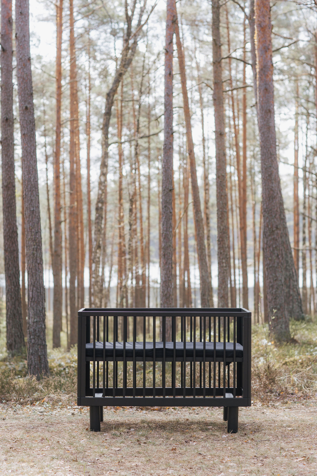 Nox cot in black satin + conversion rail in black satin /PRE-ORDER : Ships November 14th