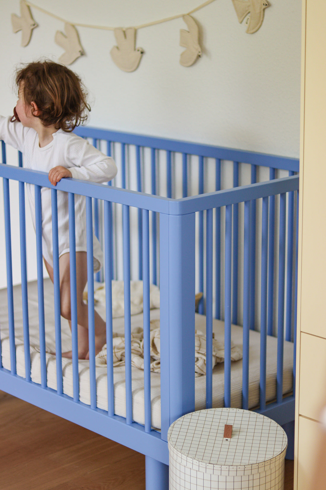 Nox cot in blue